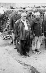 Bundesarchiv_Bild_152-27-13A,_Dachau_Konzentrationslager,_Häftlinge_beim_Appell