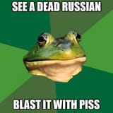 foul-zsu-frog