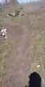 ziggers_0010625_thumb.jpg