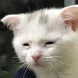 1741632896759231