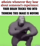 1753783970562212