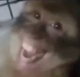 1752618473779869