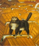 weird_kot