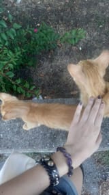 IMG-20250802-WA0055