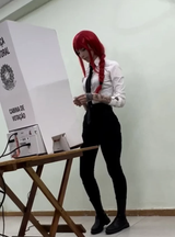 brazilian voter