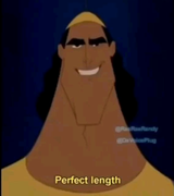 perfect length