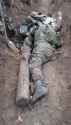 ziggers_0010618_thumb.jpg