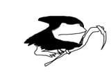 reapertoad_