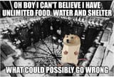 1000027072
