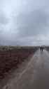 To The Last Ukrainian - Ukraine Cemetery Win - 37 - ☠️🐷Доброго ранку, ми з успраиртиащ (no audio) (2MB)_thumb.jpg