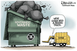 DOGE fed waste