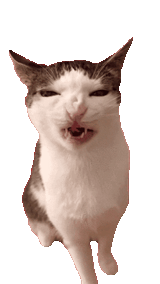 Cat Luna Sticker by Database數據 - Find &amp; Share on GIPHY