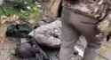 ziggers_0010173_thumb.jpg