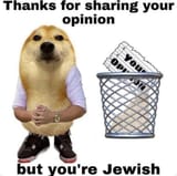 you&#039;re opinion