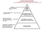 real food pyramid