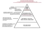 real food pyramid