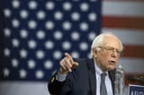 Bernie7