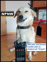 NPNW-doggo3b