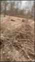 ziggers_0010304_thumb.jpg
