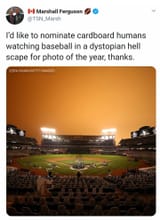 cardboard humans audience
