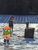Apukotdoingwork