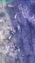 ziggers_0010049_thumb.jpg