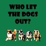 dogs are out!