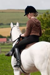 sidesaddle