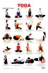 Basic-Beginner-Yoga-Poses-2550962570