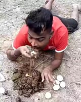 jeet egg meal