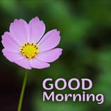Good morning