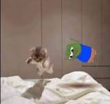 apunkotbed
