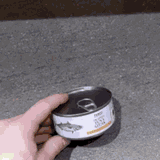 tuna-cat-352131837