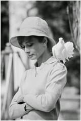 thedoves