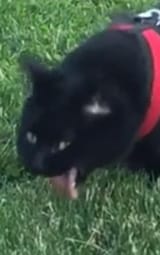 1668770599641946