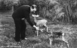 hitler love5