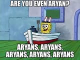 areyouevenaryan