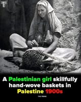 palestine 5698