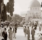 palestine 9