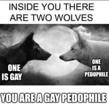 gaypedophile2wolf