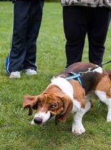 images - 2025-03-20T023535.161