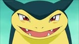 typhlosion