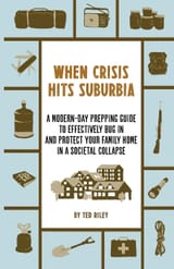 when_crisis_hits_suburbia_cover