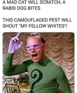 fellow whites yiddler