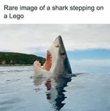 Shark lego
