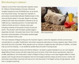 lebanon_bird_poaching