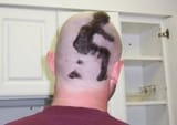 Stupid Haircut