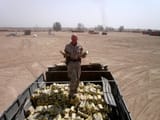 kikes stole my gold iraq