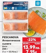 salmon filet