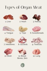 types-of-organ-meats-infographic